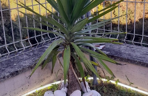 Vila do Conde House | Casa Monte Beira Rio - Nature, landscape, tranquility and comfort