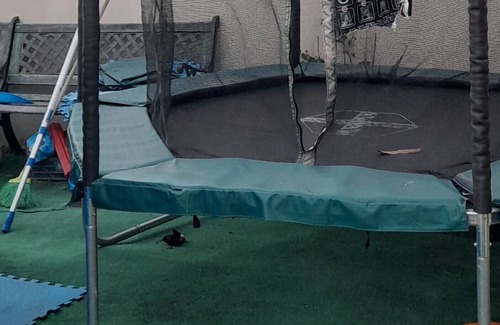 Vila do Conde House | Casa Monte Beira Rio - Nature, landscape, tranquility and comfort