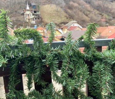 Brasov Villa | Casa Mountain view