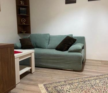 Brasov Villa | Casa Mountain view