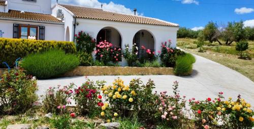 Alcala la Real Villa | Casa Moya