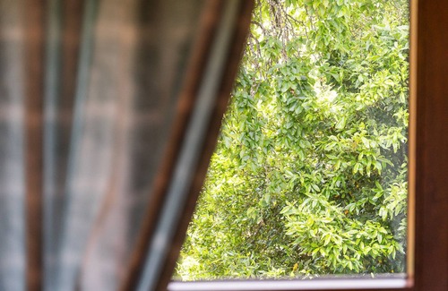 Cinfaes Apartment | Casa Museu da Geada: Room 5