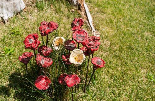 Cinfaes Apartment | Casa Museu da Geada - Rural Hotel