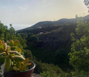 Barlovento House | Casa Nieves de Mario