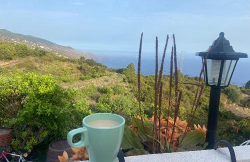 Barlovento House | Casa Nieves de Mario