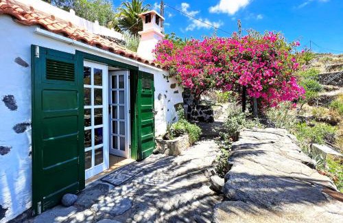 El Jesus House | Casa Nonito