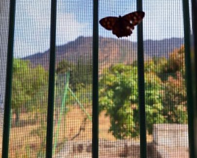 Tenteniguada Bed & Breakfast | Casa Nuestro Sueño