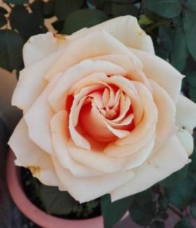 Lavaggiorosso House | Casa Ofelia