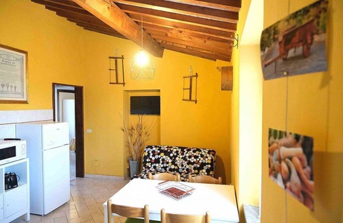 Rosignano Marittimo House | Casa Olmo: A welcoming apartment surrounded by the Tuscan countryside, a few miles from the sea, with Free WI-FI.