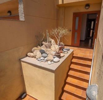 El Medano House | Casa Paradise