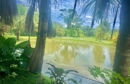 La Banda de Shilcayo Villa | Casa