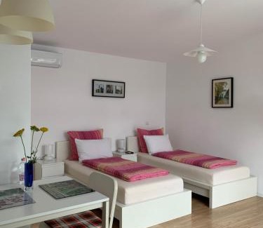 Sinpetru House | Casa Petri