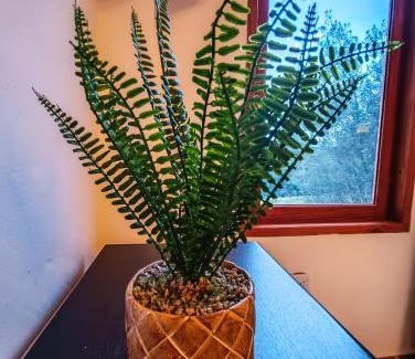 Santa Sofia Other | Casa Piedra