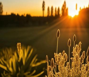 Villa Union Apartment | Casa Piedra Roja