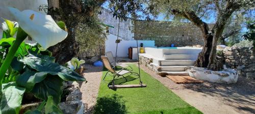 Crato House | Casa Pitacas