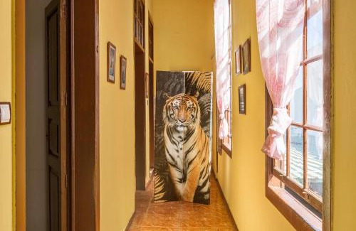 Firgas House | Casa Pollo Buen Lugar