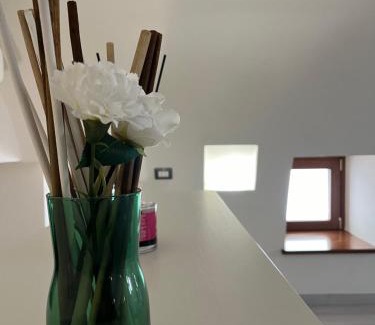 Pontone House | Casa Pont1