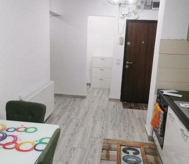 Tirgu Mures Apartment | Casa Potcoava