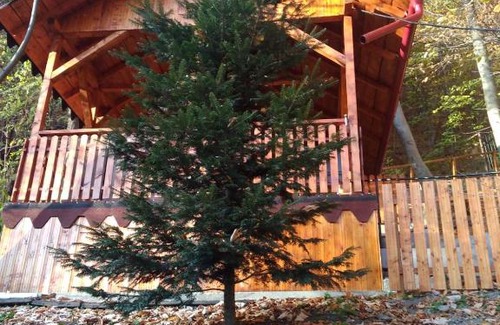 Slanic-Moldova House | Casa Puiu