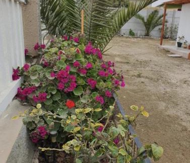 Punta de Choros House | Casa Quelita