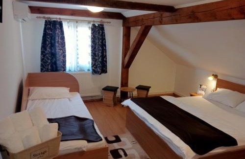 Ocna Sibiului House | Casa Raisa & Maria