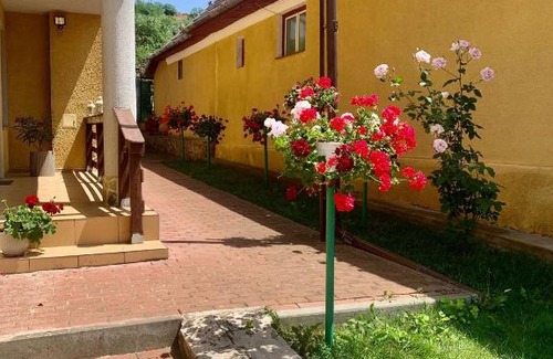 Turda House | Casa Ramona