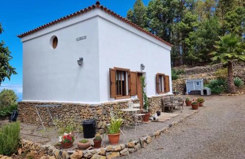 Icod de los Vinos Villa | Casa Regina