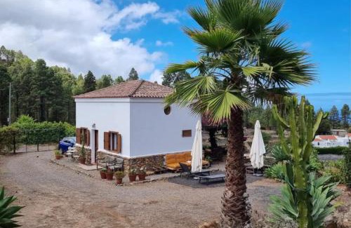 Icod de los Vinos Villa | Casa Regina