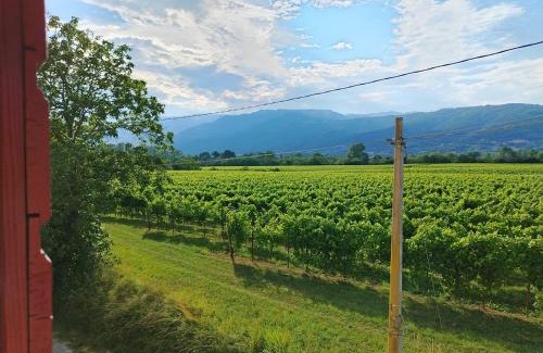 Pederobba Apartment | Casa Rigai