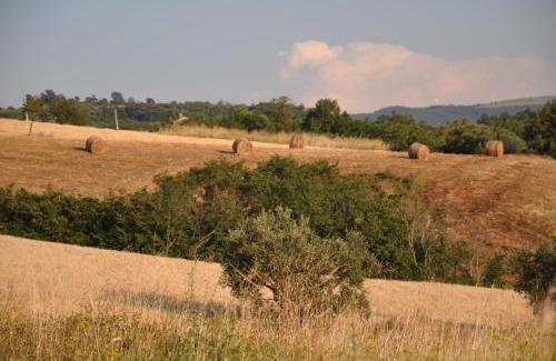 Ripabottoni House | Casa Ripa