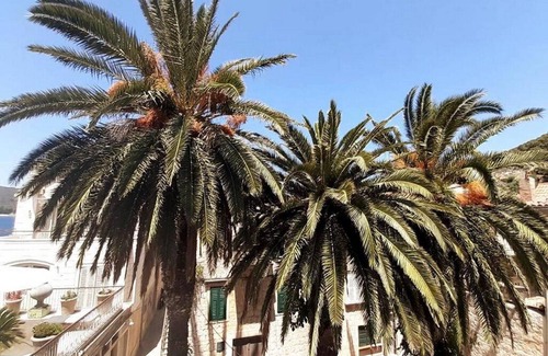 Vis House | Casa Ruben