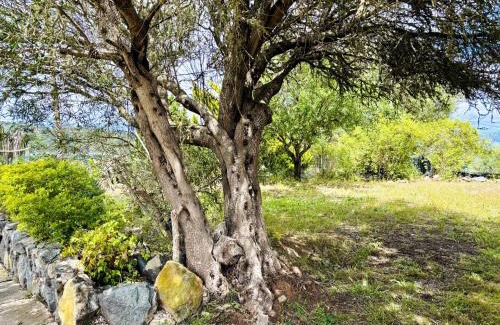 Teror House | Casa Rural Ca'Chispita