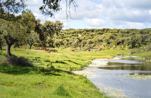Plasenzuela Villa | Casa Rural con piscina El Huerto del Olivo, Plasezuela, Trujillo, Cáceres