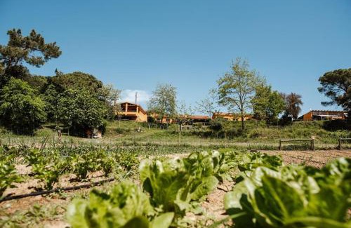 Tordera House | Casa rural en el campo LAS DALIAS