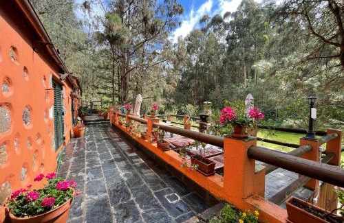 Firgas House | Casa Rural en medio del bosque, El Lance