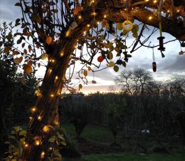 Sauzal House | CASA RURAL LIMÓN Y SOL