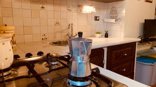 Spoleto Apartment | Casa Sillani, Roman Theater view