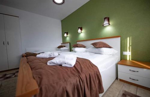 Avrig House | Casa Sofia Avrig