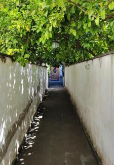 Torre Annunziata Apartment | Casa Teresinella Garden