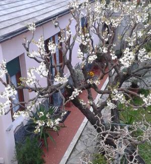 Sant'Ilario Apartment | Casa Tra Il Verde E Il Blu