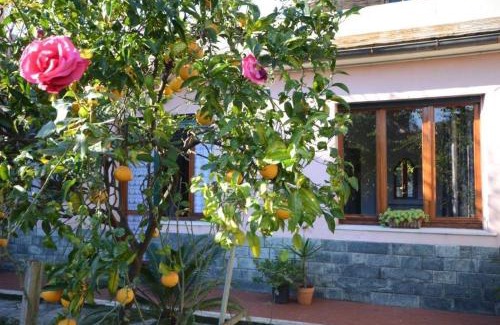 Sant'Ilario Apartment | Casa Tra Il Verde E Il Blu