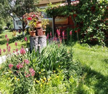 Subcetate House | Casa traditionala Subcetate