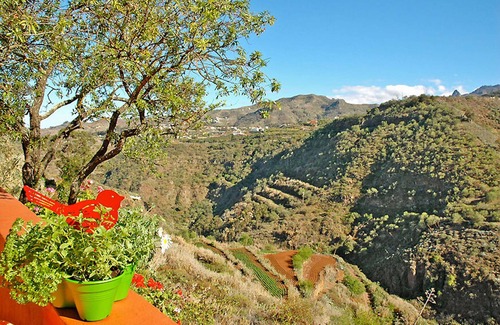 La Solana Cottage | Casa Tres Almendros