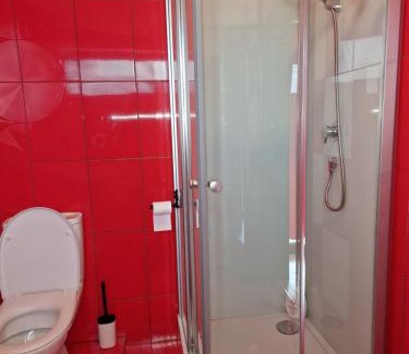 Selimbar House | Casa Tudor