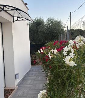 Mandrione Apartment | Casa vacanza fenice