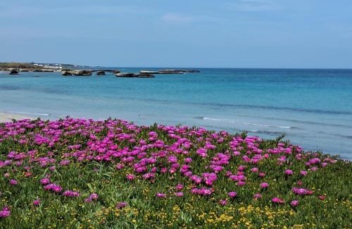 San Foca Apartment | Casa vacanze ester