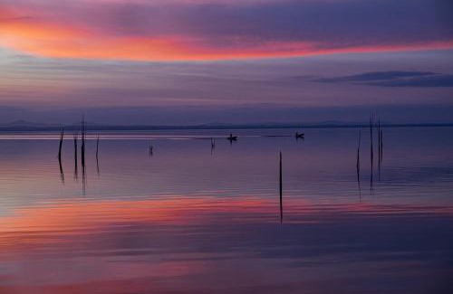 Foiano della Chiana Apartment | Casa vacanze Fatucchi