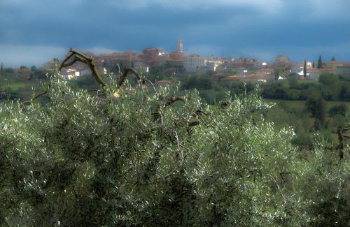 Foiano della Chiana Apartment | Casa vacanze Fatucchi