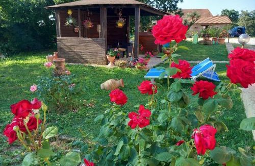 Sorano House | Casa Vacanze La Farfalla di Vittori Fabiola