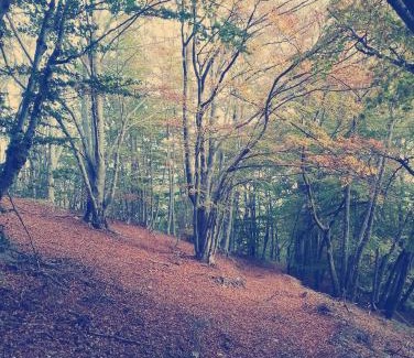 Caprauna Apartment | Casa Vacanze SolEsport